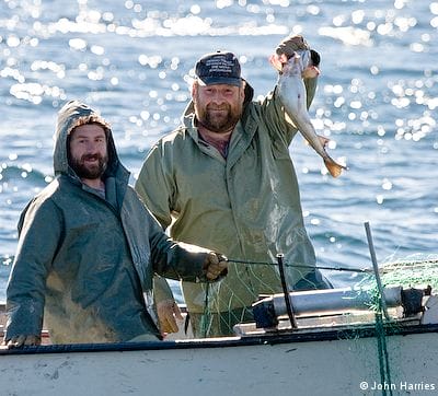 Two Newfoundland fishermen hold up a freshly caught cod