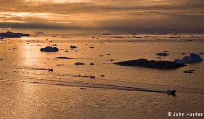 Why Go North? For The Light