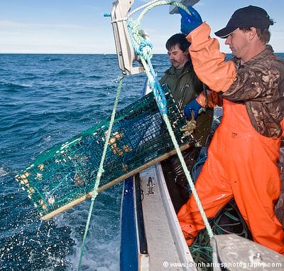 Lobstermen haul a lobster trap off Cape Sable, Nova Scotia