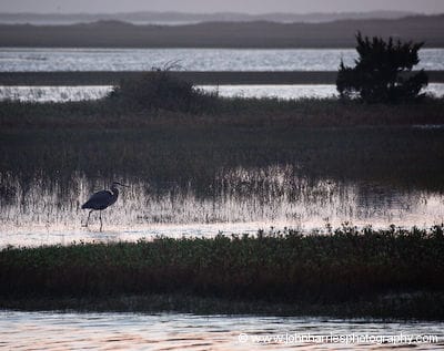 Georgia On Our Minds