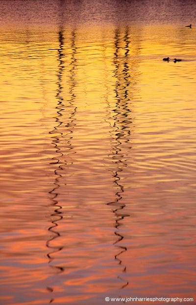 Sailboat masts are reflected in the waters of the Tromsøfjord in the long low yellow light of late winter