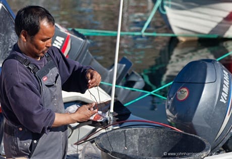 A Greenlandic fisherman baits a tub trawl (longline) JHH5II-12132