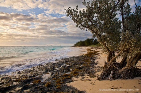 Morning beach scene, Green Turtle Cay, Abacos. We will miss the place.