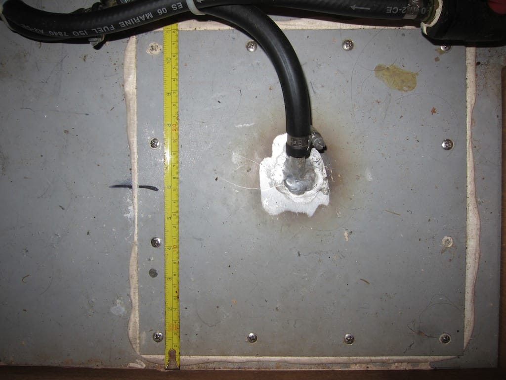 The Bug Is Taking Over