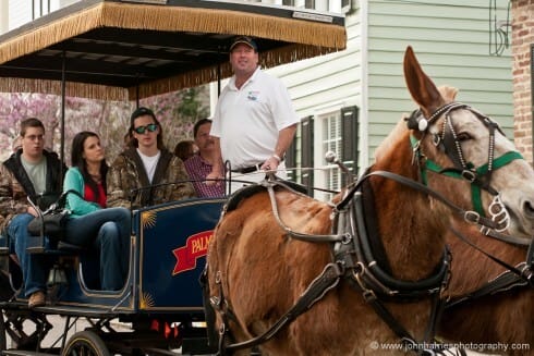 Once again there is humour here. The guide is in full cry, but the tourists are bored. Even the horse has heard it all before. So often the real story makes a more interesting photo than the ideal tourist shot. A tight crop makes the image. If I had included the whole carriage and both horses the people would have been too small for their expressions to be obvious. Here I used a 90mm prime lens nearly wide open at F2.2 to freeze the movement and focused on the guide's face to emphasize the star of the show. If I had used a slower zoom everything would have been in sharp focus, including the background, and the shot would be weaker. 