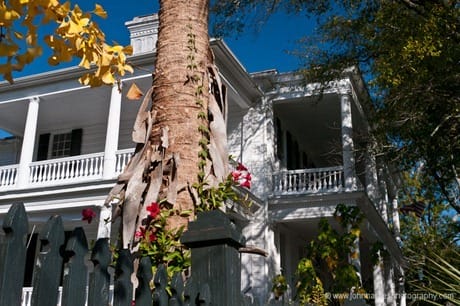 Large white house with tree and flowers in Charleston, SC. JHHGH1-1050510