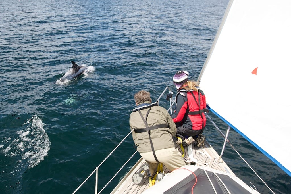 It’s So Nice When I Stop