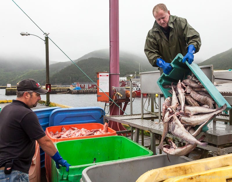 What Is It With Yachties?