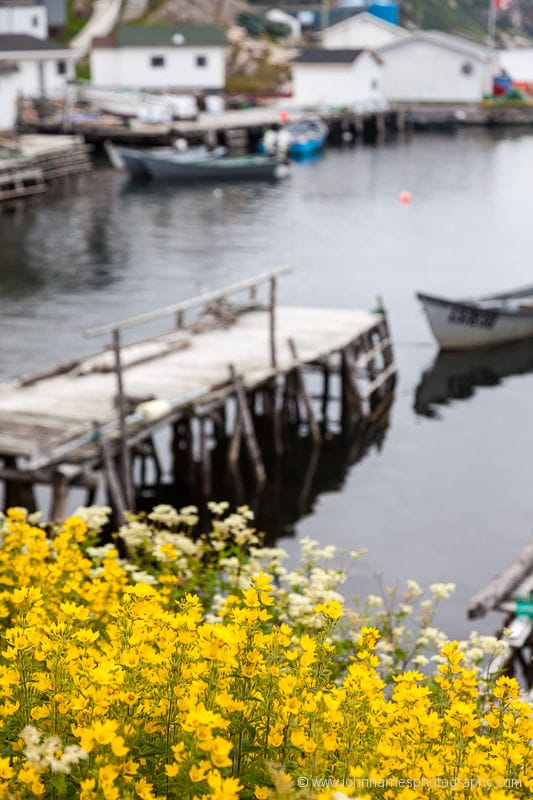 McCallum Newfoundland harbour with speedboats and wharves
