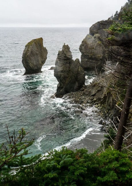Sea stacks on the Skerwink Trail, Port Rexton, Newfoundland