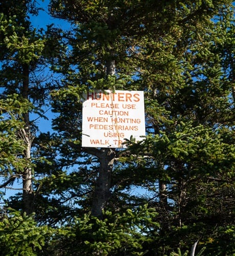 Hunting sign in tree JHHG3-1010941