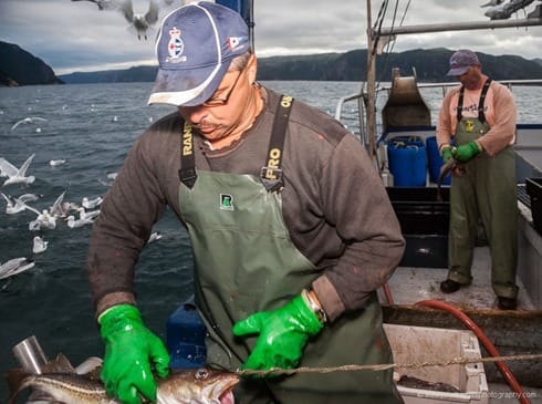 Two fishermen cleaning fish on the working deck of a fishing boat JHH5II-17830