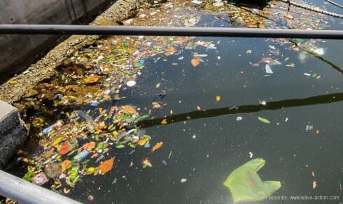 Just waiting to clog your engine's raw water system.