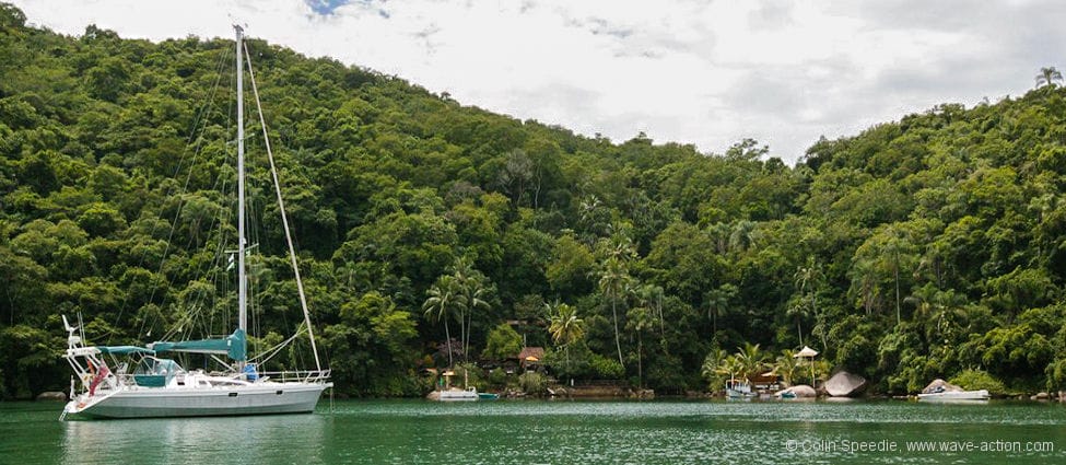 Brazil’s Green Heart
