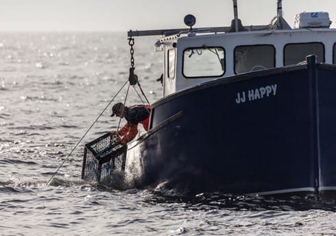 JHH5II-15989 JHH5II-15989