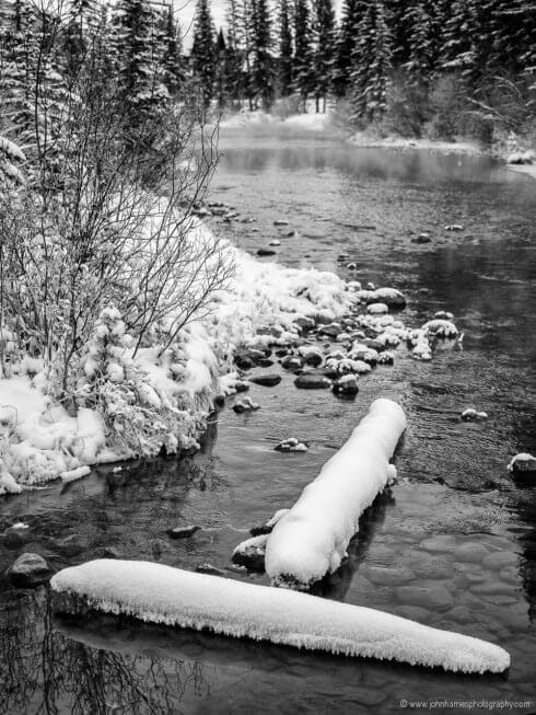 River with trees and logs on snowy day in black and white OLYMPUS DIGITAL CAMERA