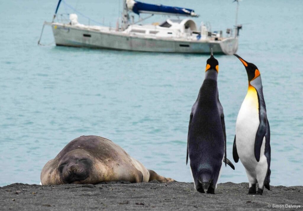 JSB III with admirers