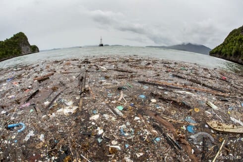 iStock_000045110590Large