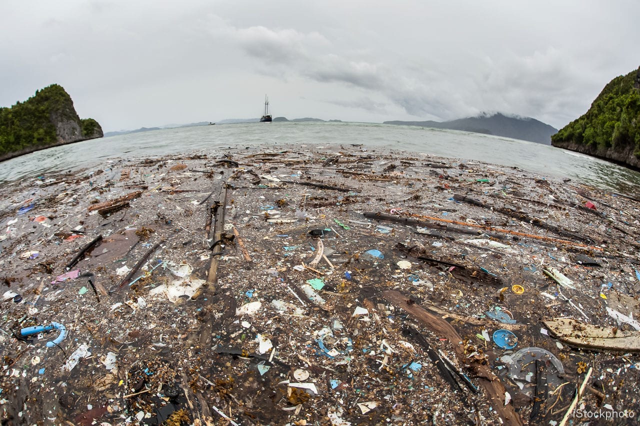 Q&A: Being Green On The Blue