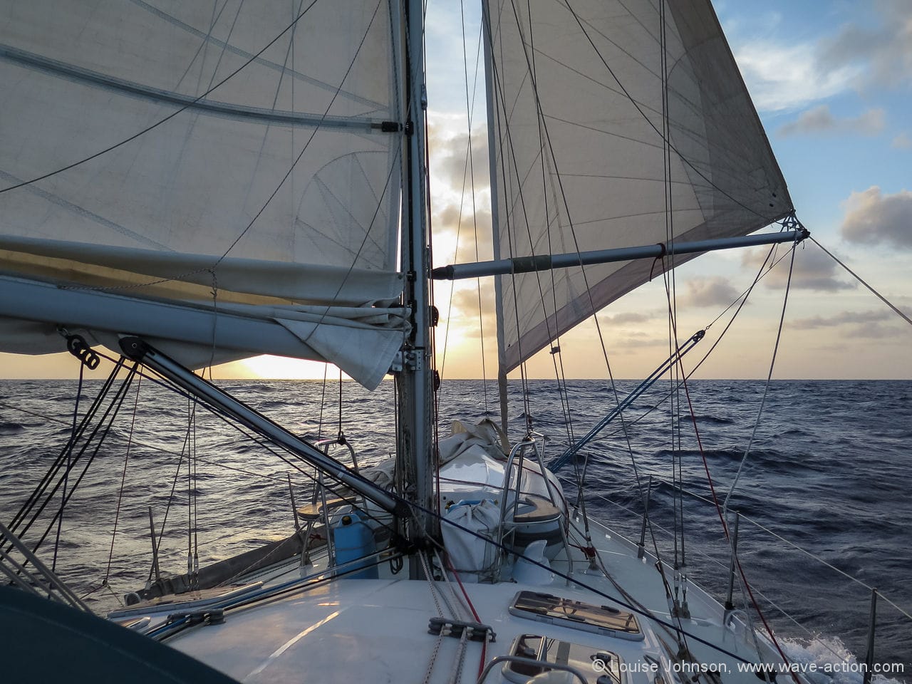 The Perfect Forecast?