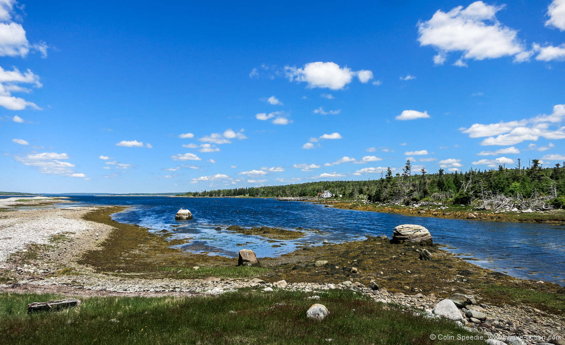 Hagar’s Cove, McNutt’s Island.