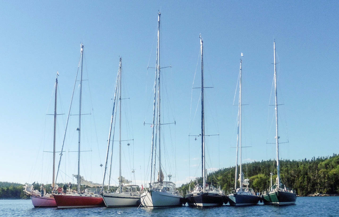 John’s Thoughts & Photos—March 2017