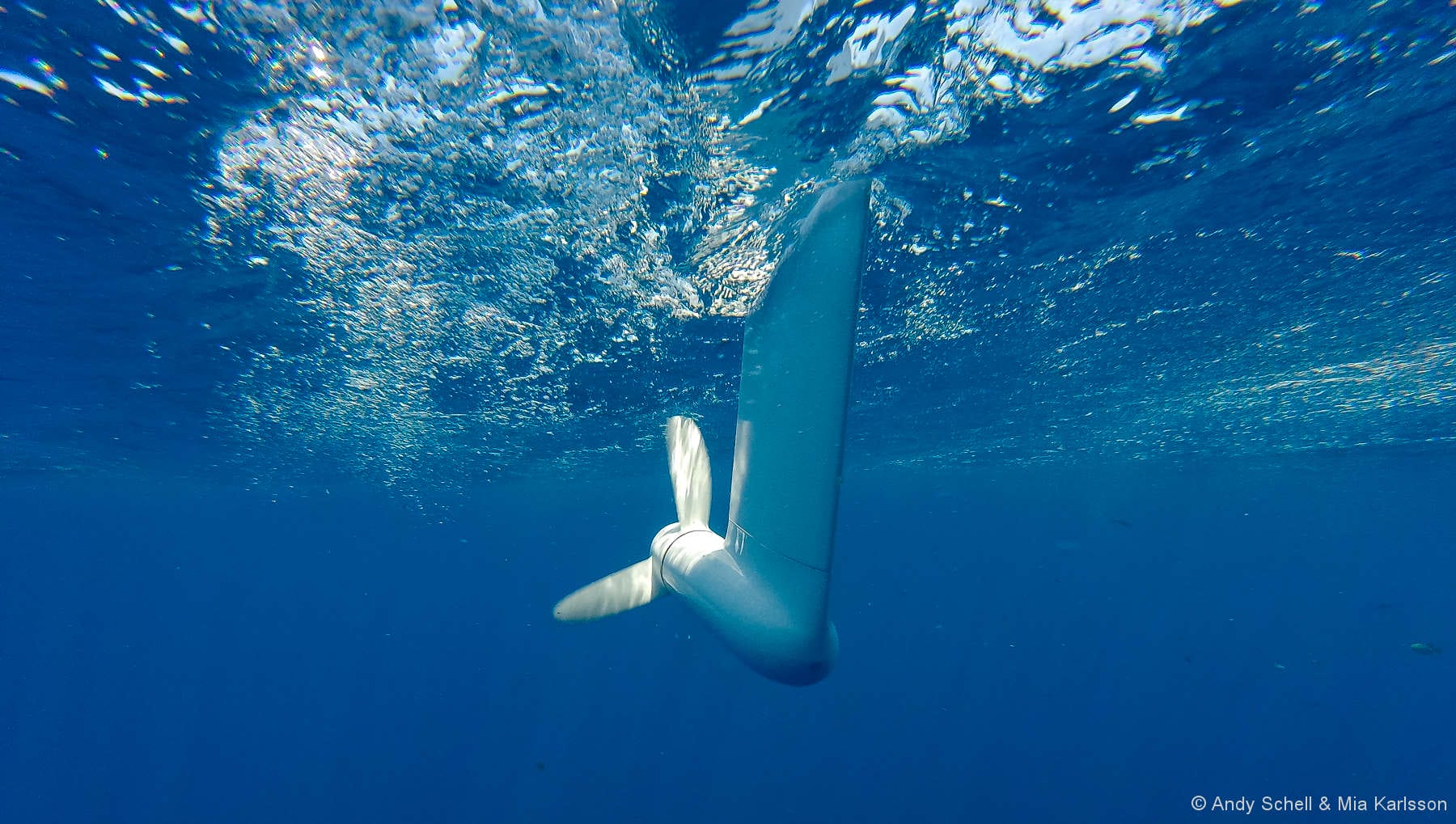 Watt & Sea Hydro Generator Review