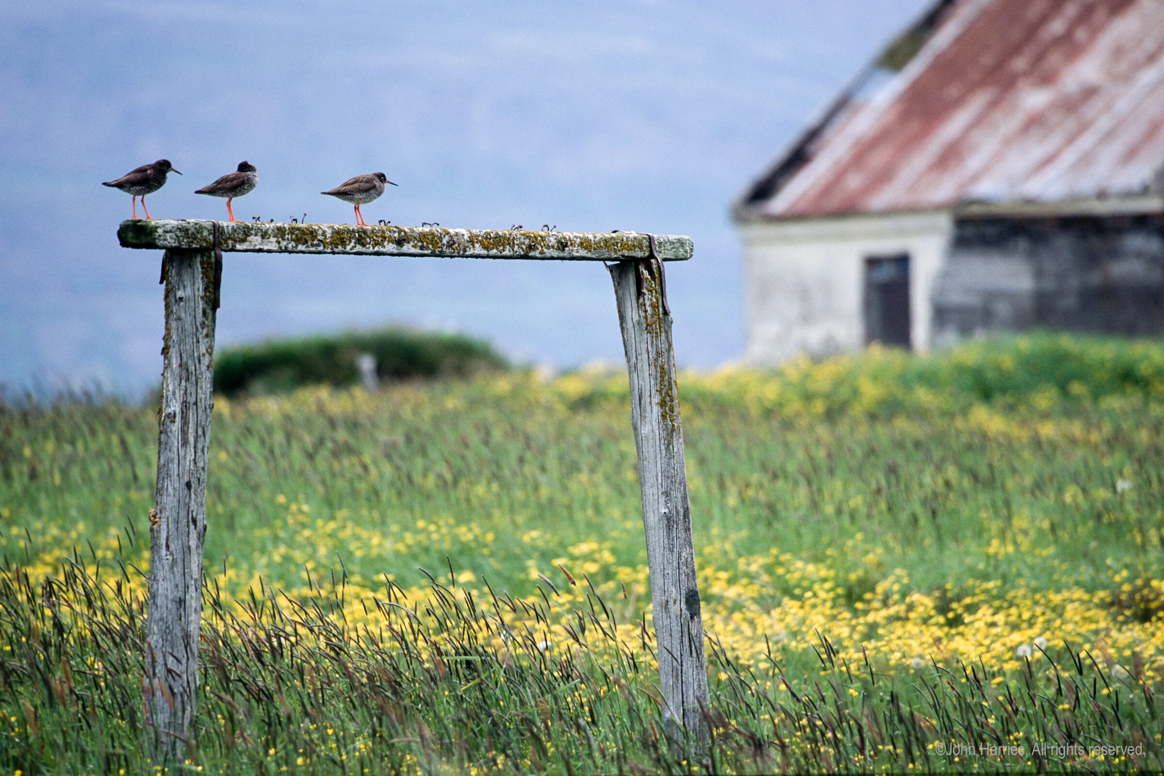 Postcards From Voyaging #1