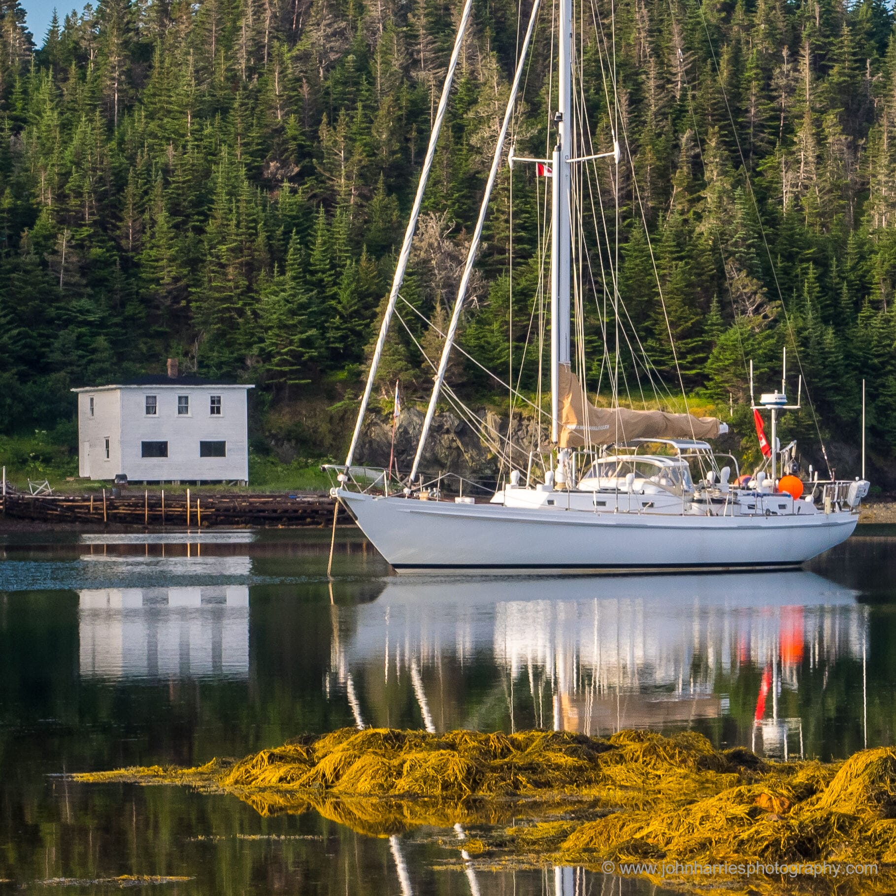 McCurdy and Rhodes 56 For Sale