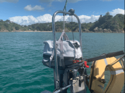 Screen Shot 2021-01-12 at 11.07.51 AM.png