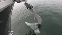 Fouled Chain Alum Excel.png