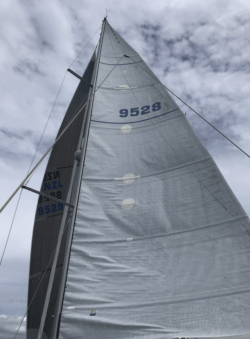 Screen Shot 2022-01-01 at 2.55.28 PM.png