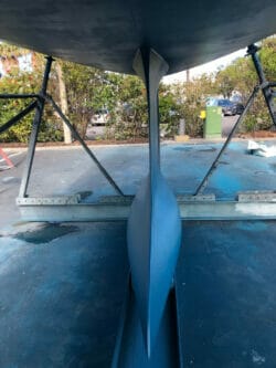 IMG_3025 (1) Large.jpeg