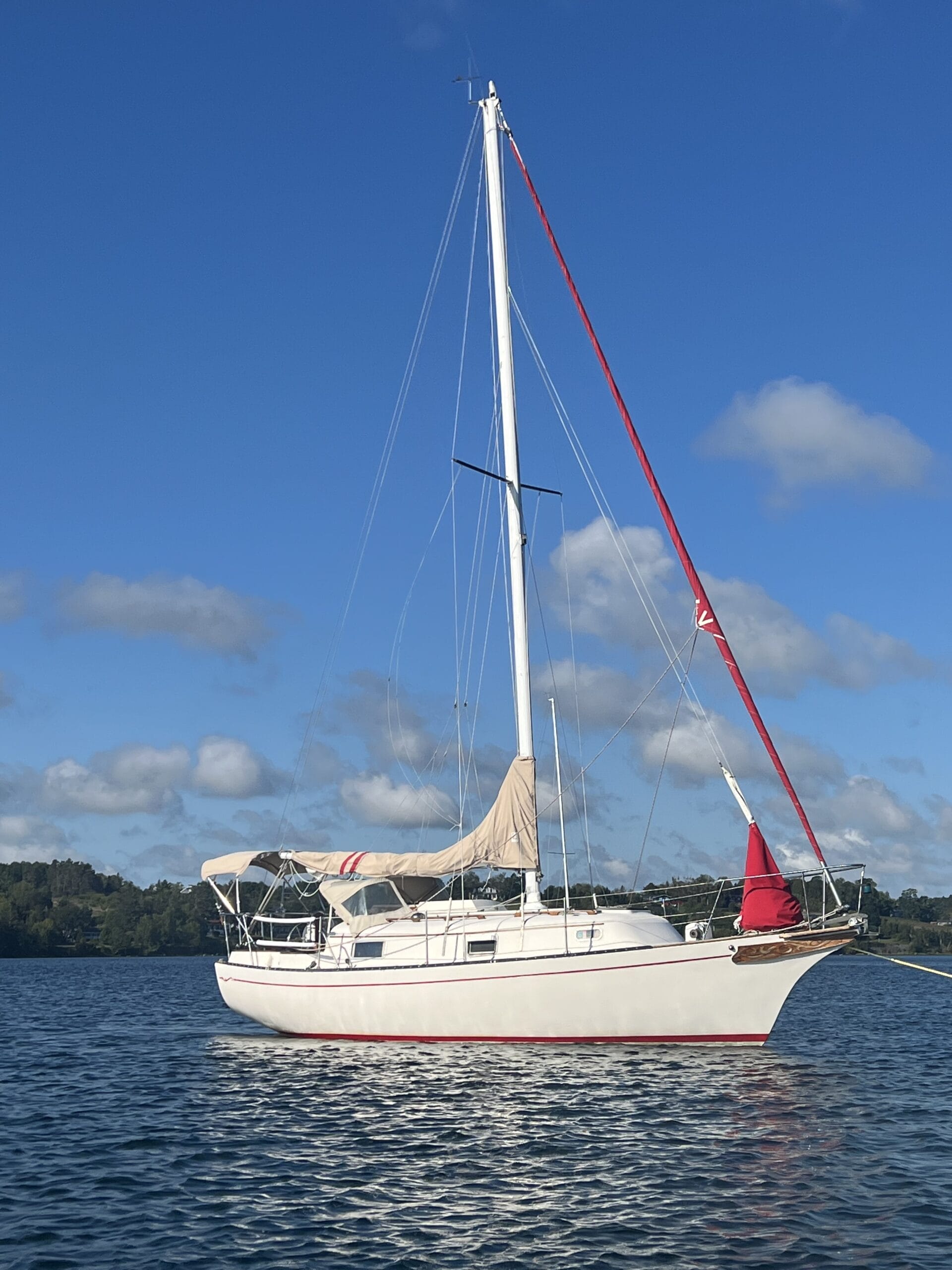 Cruiser Under $20K, Bayfield 29