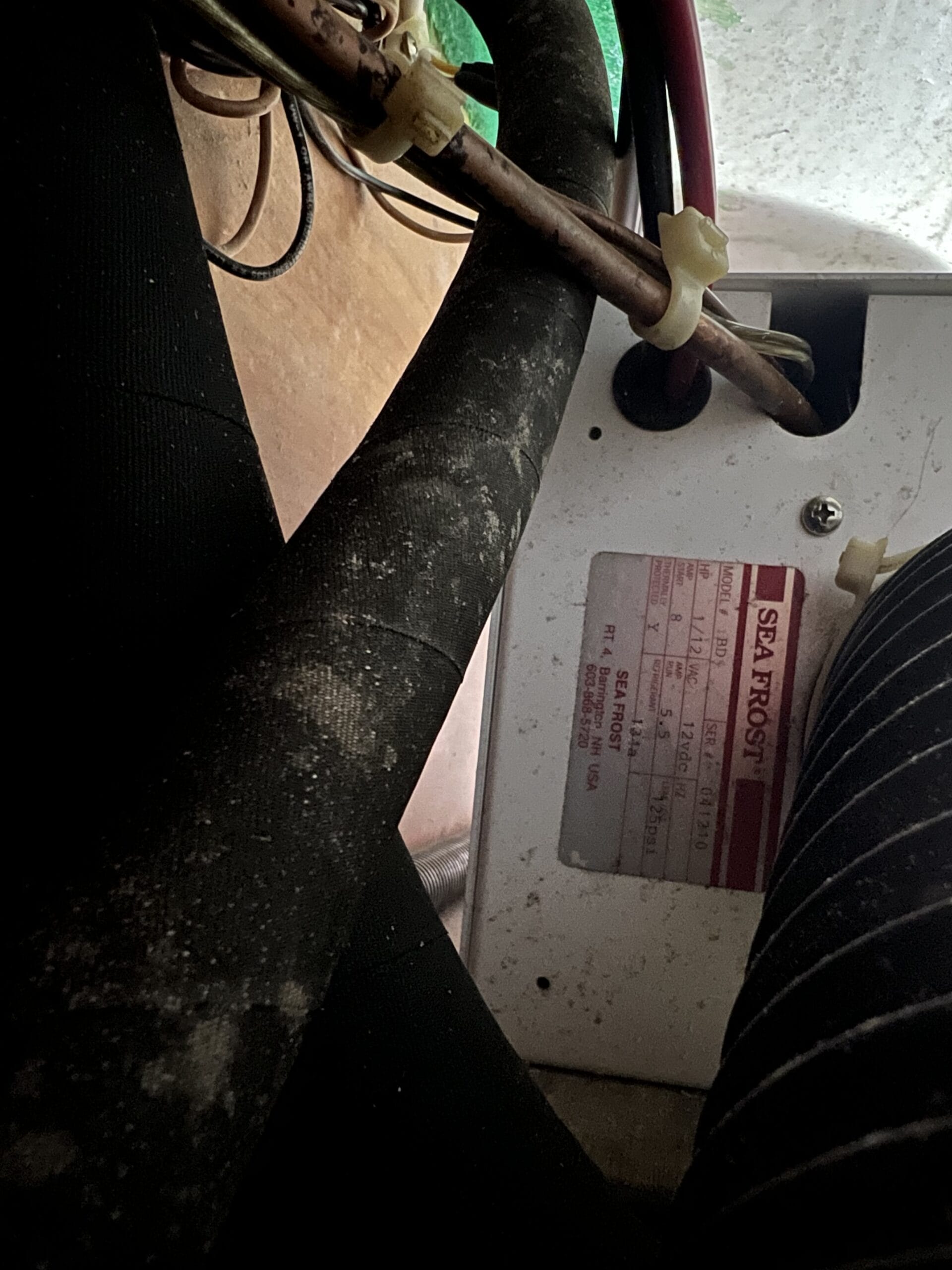 Apple Watch Photo-Trigger Hack