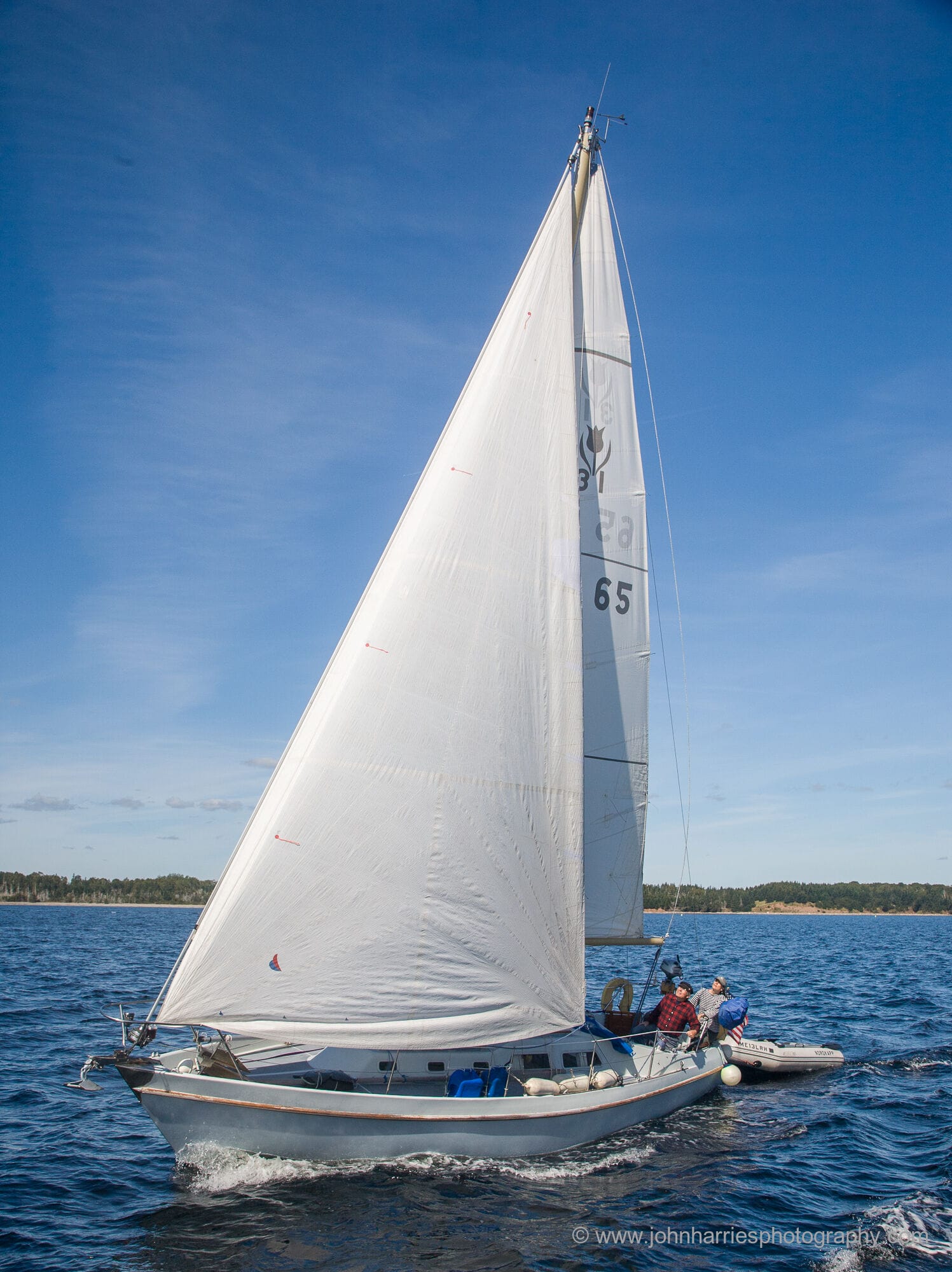 Sails—Cross-Cut or Radial?